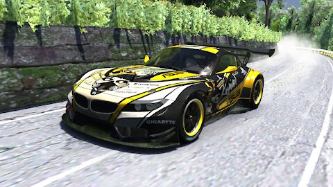 Bmw Z4 GT3 HC / DeLuc / Assetto Corsa / ProtosimRacing