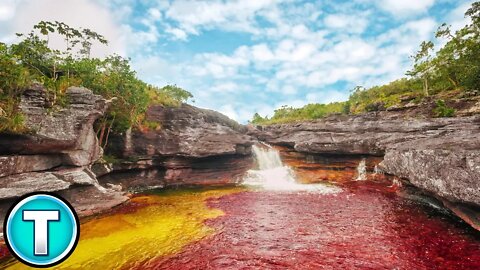 Rainbow River - The World's Most Beautiful River