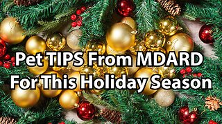 Pet TIPS From MDARD For This Holiday Season
