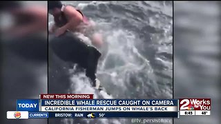 Incredible whale rescue caught on camera