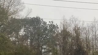 Severe South Carolina Wind