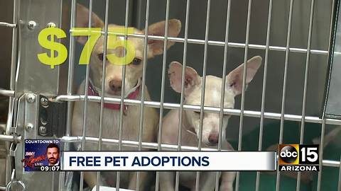 Get FREE pet adoptions at MCACC Saturday