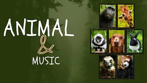 Harmonizing Nature: The Transformative Power of Music on Animals 🎼🎷📢