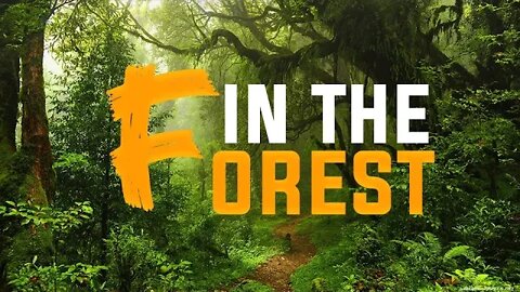 AMAZING FACTS ABOUT FORESTS | SHINRIN-YOKU | THE BIODIVERSITY | SAHARA DESERT | DEFORESTATION