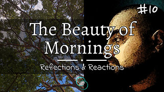 The Beauty of Mornings | #10 | Reflections | The World of Momus Podcast