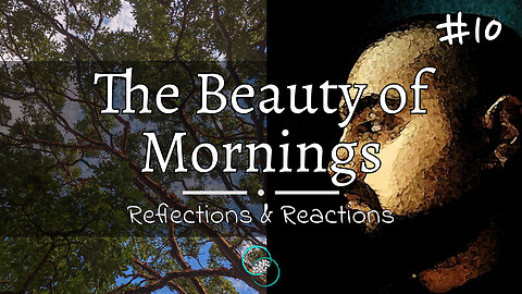 The Beauty of Mornings | #10 | Reflections | The World of Momus Podcast