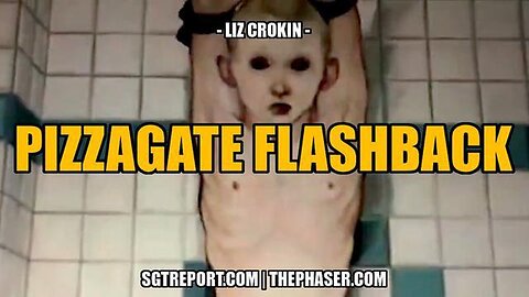 PIZZAGATE FLASHBACK - LIZ CROKIN