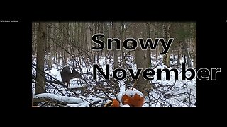 Trail Cam Adventures - Snowy November