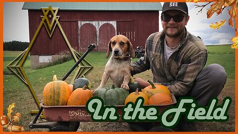 The Pumpkin Patch Beginning to End | In the Field