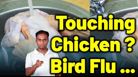 Handling Chickens Safely in Bird Flu Alert. | Dr. Bharadwaz | Homeopathy, Medicine & Surgery