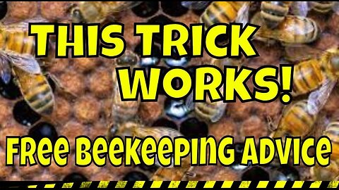 Beekeeping for Beginners #beekeeping #bees #bee #beehive #home