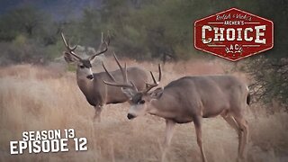 South Of The Border Mule Deer Hunting - Archer’s Choice (Full Episode) // S13: Episode 12
