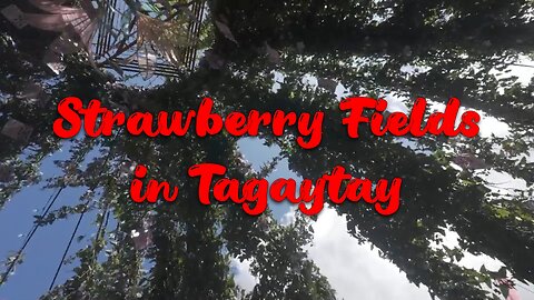 Strawberry Fields in Tagaytay