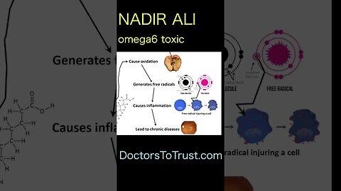 Nadir Ali. Omega6: bodies cannot burn it for fuel...-gets into our fat cells-gets into mitochondria