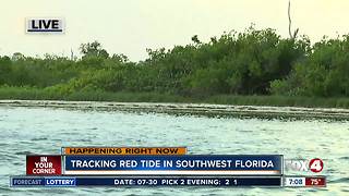 Tracking red tide in Southwest Florida by boat - 8am live report