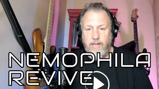 NEMOPHILA REVIVE - First Listen/Reaction