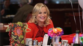 Could There Be A ‘Parks And Recreation’ Reboot?