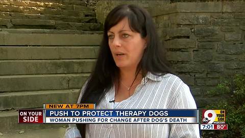 Push to protect therapy dogs