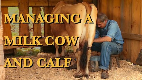 The Milk Cow, Part 2 - The FHC Show, ep 35