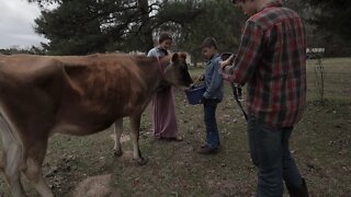 Finding Our Milk Cow!!!/ We Found Our Milk Cow in a???