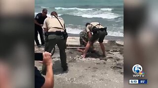 VIDEO: Wildlife officers capture gator on Hobe Sound beach