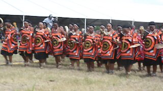 SOUTH AFRICA - Durban - Umthayi marula festival video's batch 9 (s8t)