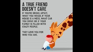 A true friend [GMG Originals]