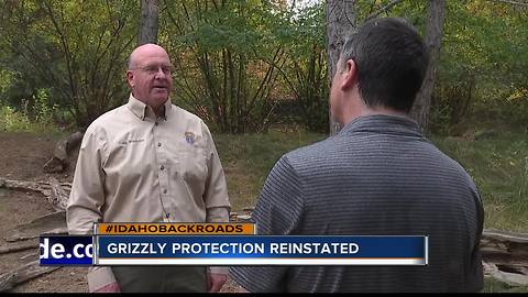 Environmentalist want grizzlies in Central Idaho