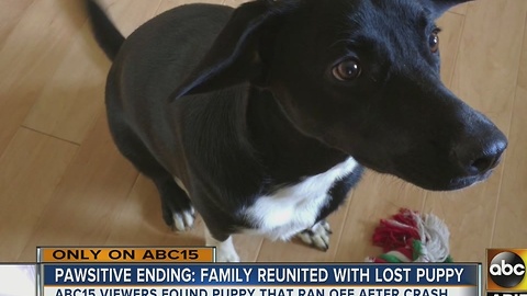 Reunited! A family was overjoyed when their lost puppy was returned after a crash in Flagstaff recently