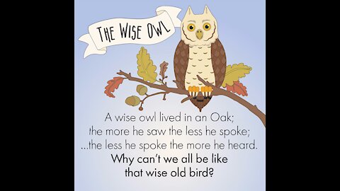 The Wise Owl [GMG Originals]