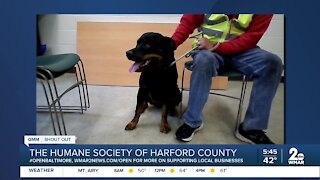 The Humane Society of Harford County says "We're Open Baltimore!"
