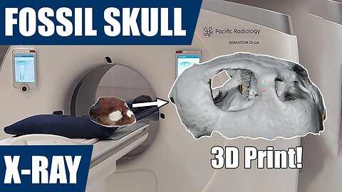 X-raying a fossil skull to create a 3D model and then print it