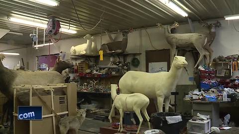 Great Outdoors: Robotic taxidermy decoys help catch poachers