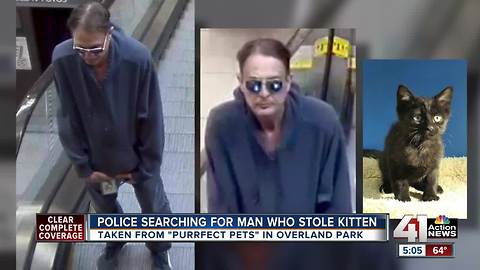Overland Park police looking for alleged 'Catnapper'