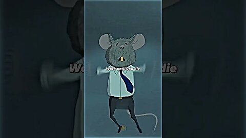 Life Of A Rat