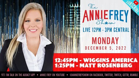 Twitter Files, Trump Constitution Comments, SAFE-T Act Update • Annie Frey Show 12/5/22