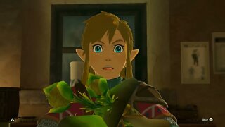 Breath of the Wild Master Mode 31