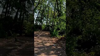 PUSTNICU Forest, Bucharest - Ilfov | 4k Virtual Tour | #shorts