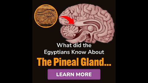 Awaken your third eye with pineal xt