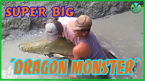 The fisherman pulled up the net and discovered a super-large 'dragon sea monster'