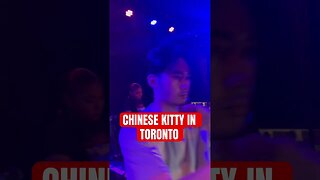 Chinese Kitty Shows Love To Top5 In Toronto!