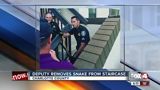 Deputy removes snake Charlotte County