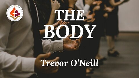 The Body - Trevor O'Neill June 16th, 2024