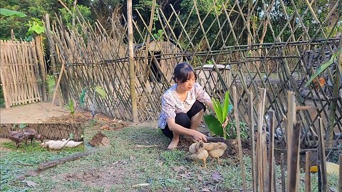 coconut tree planting, lotus planting, cooking