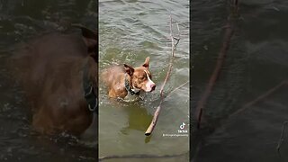 Swimming at the lake.