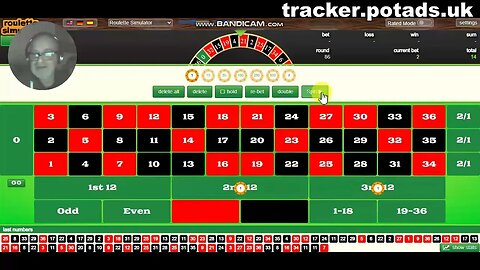 Advanced roulette betting - Looking for complex patterns to break on dozens only .. win win baby :0
