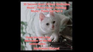 30 Second Short Of Best Meditation Music | Piano Music | Relaxing Music | Piano Cat Part 3 #shorts