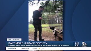 The Baltimore Humane Society says "We're Open Baltimore!"