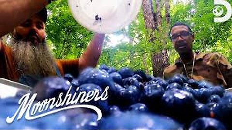 Making Blueberry Lemonade Alcohol Moonshiners