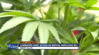 State lawmakers call for action on medical marijuana proposal